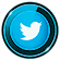 social_icons_twitter